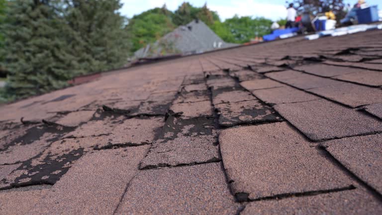 Best Storm Damage Roof Repair  in Northfield, MN
