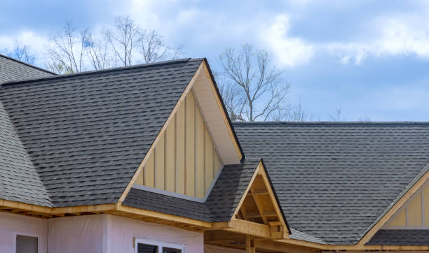 Best Solar Panel Roofing Installation  in Northfield, MN
