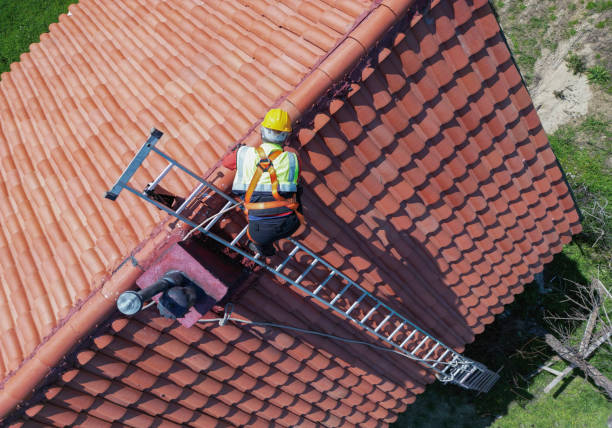 Best Roofing for New Construction  in Northfield, MN