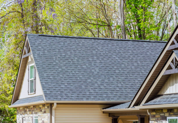 Best Roof Coating and Sealing  in Northfield, MN