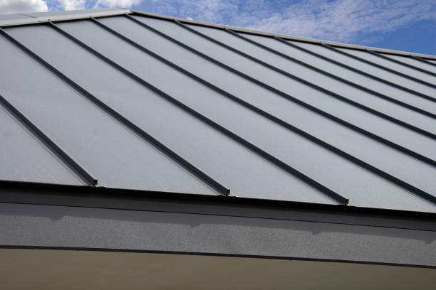 Best 4 Ply Roofing  in Northfield, MN