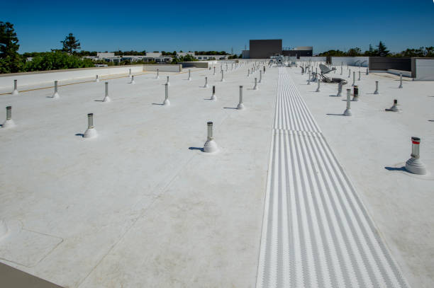 Best Skylight Installation and Repair  in Northfield, MN